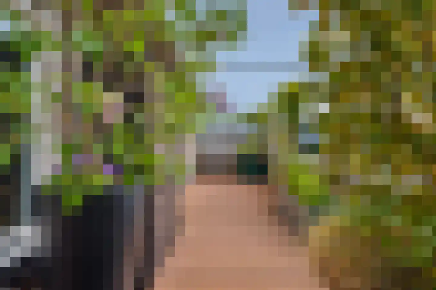 Kronenburgersingel 64 Nijmegen thumbnail 41