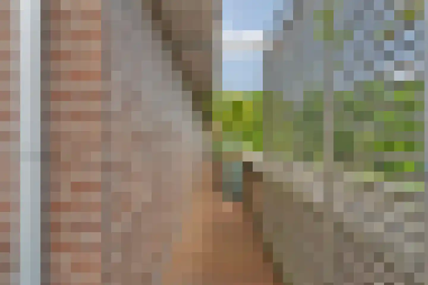 Kronenburgersingel 64 Nijmegen thumbnail 43