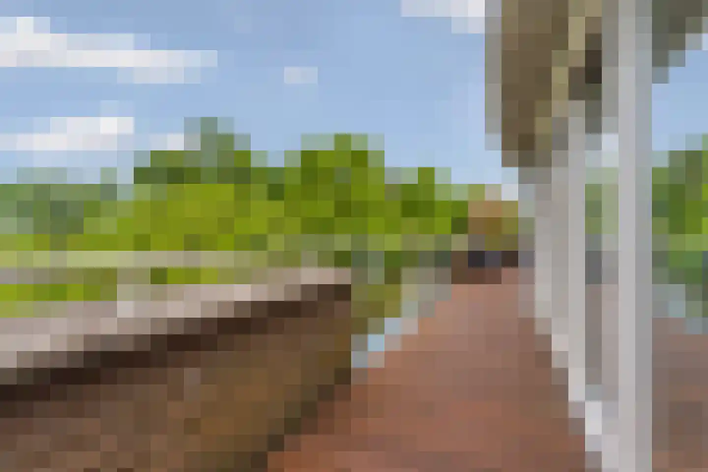 Kronenburgersingel 64 Nijmegen thumbnail 45