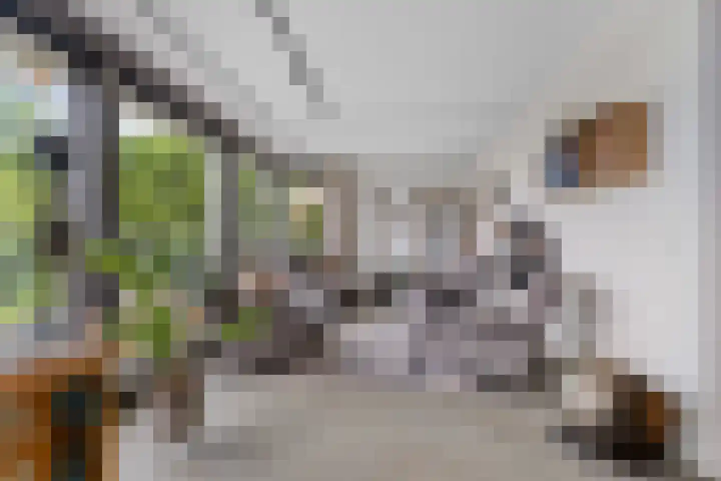 Kronenburgersingel 64 Nijmegen thumbnail 5