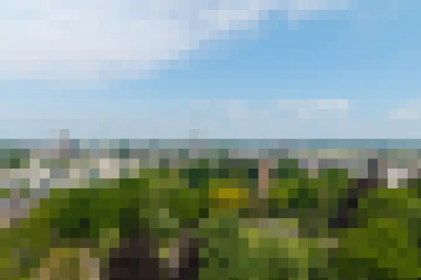 Kronenburgersingel 64 Nijmegen thumbnail 57