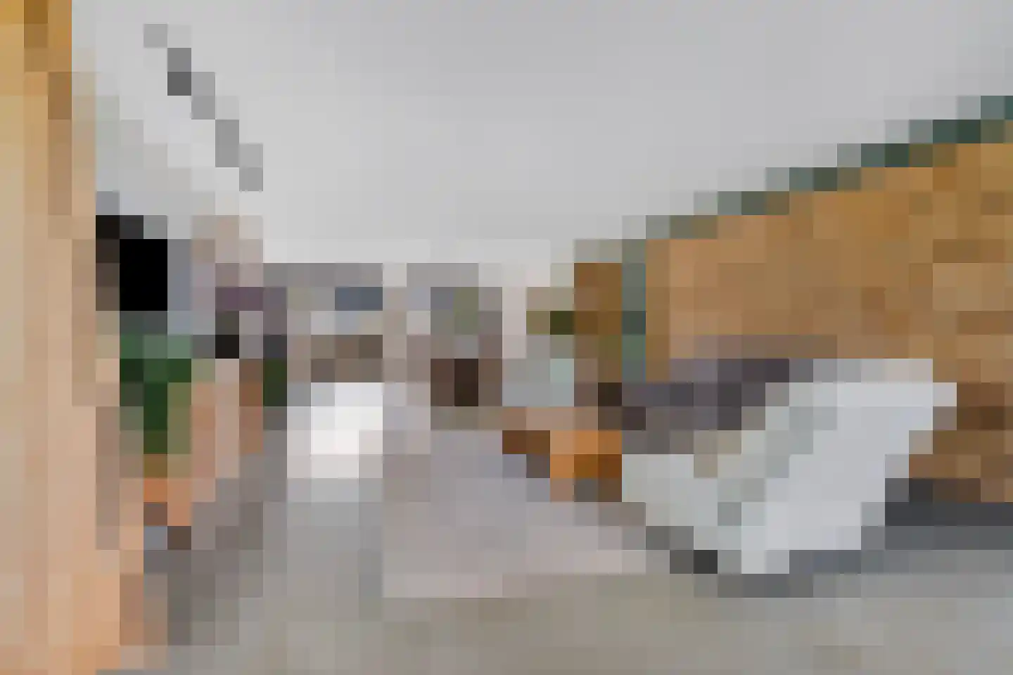 Kronenburgersingel 64 Nijmegen thumbnail 8
