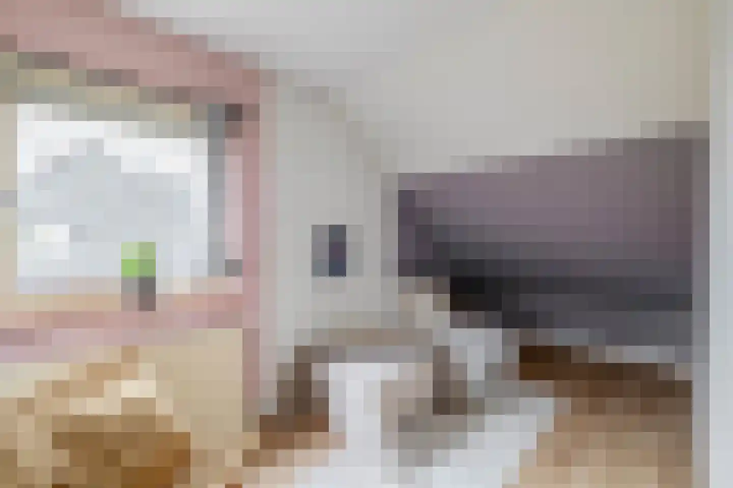 Kronenburgerstraat 14 a Huizen thumbnail 18