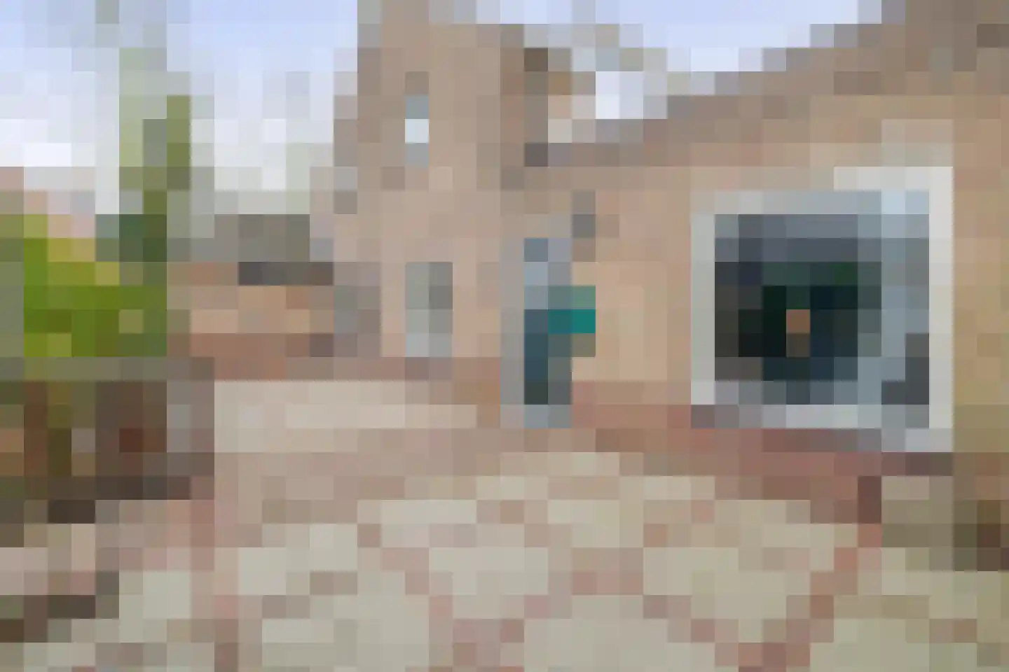 Kronenburgerstraat 14 a Huizen thumbnail 27