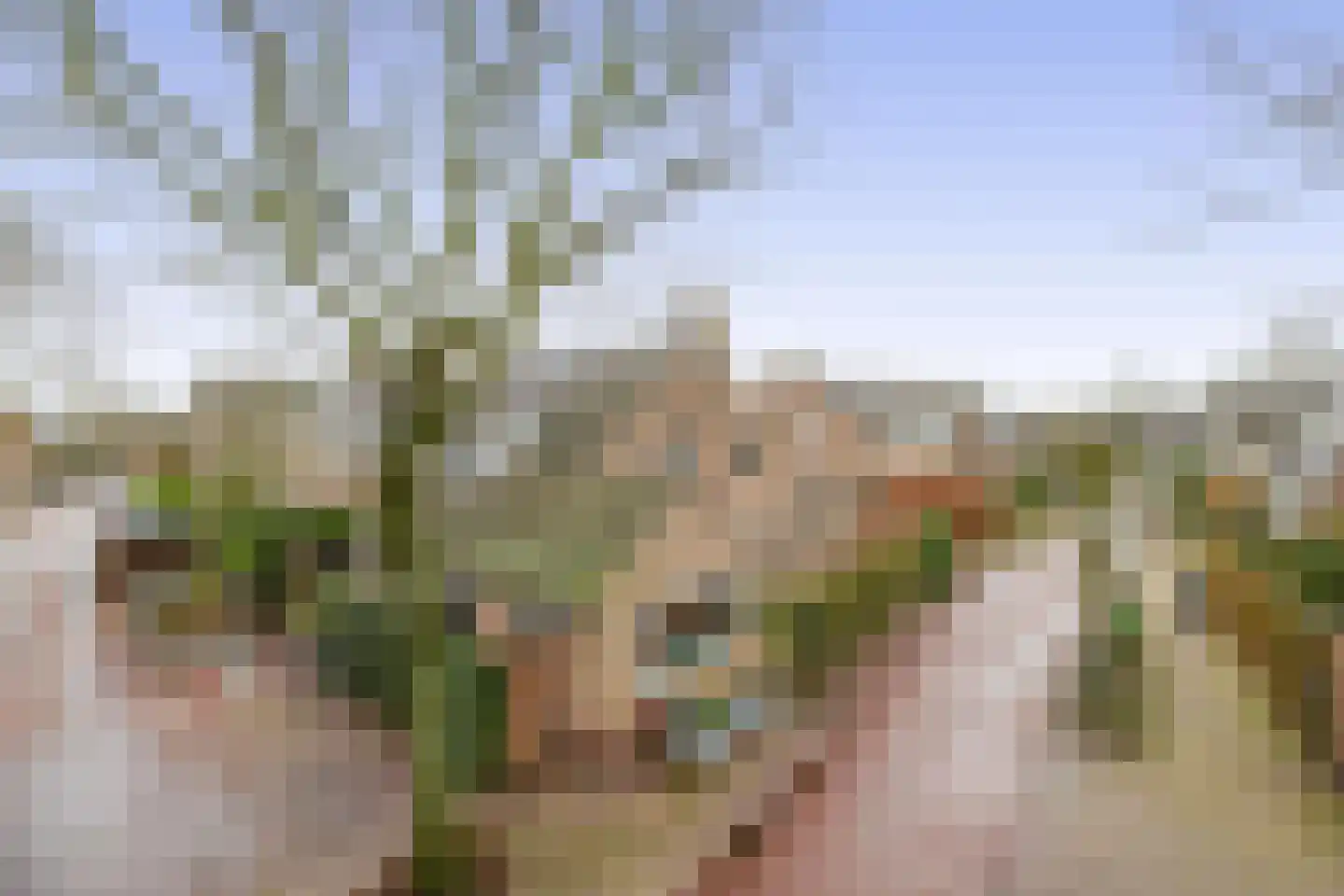 Kronenburgerstraat 14 a Huizen thumbnail 33