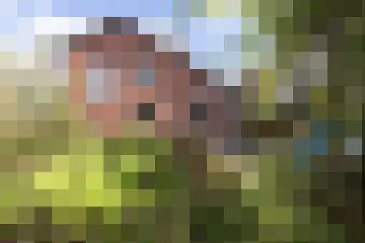 Kronenburgerstraat 16 Borculo thumbnail 23
