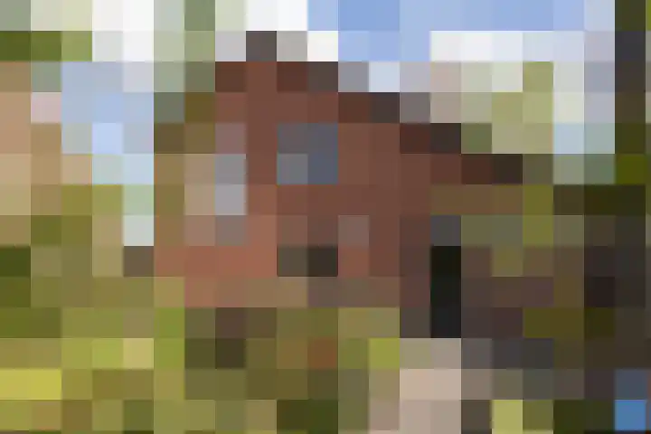 Kronenburgerstraat 16 Borculo thumbnail 24