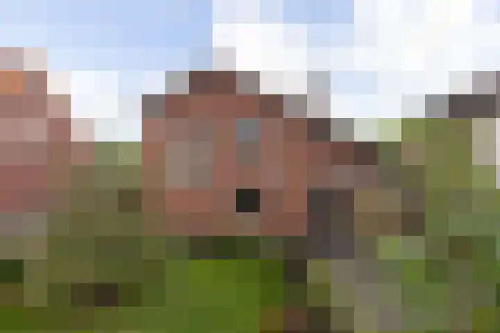 Kronenburgerstraat 16 Borculo thumbnail 25
