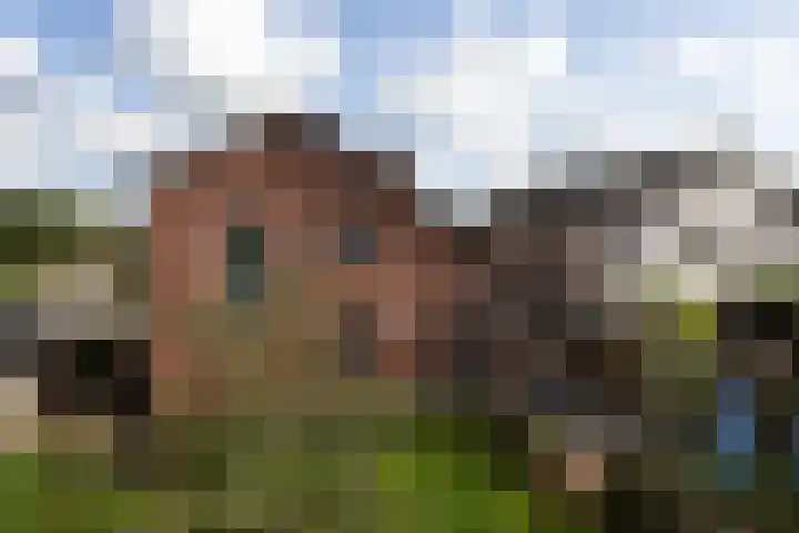 Kronenburgerstraat 16 Borculo thumbnail 26