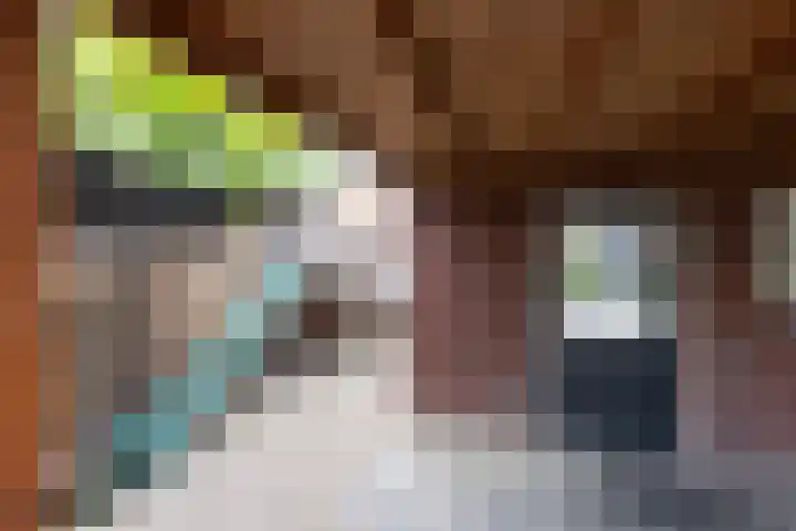 Kronenburgerstraat 16 Borculo thumbnail 29