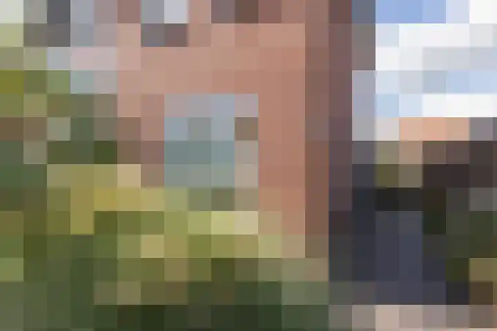 Kronenburgerstraat 16 Borculo thumbnail 33