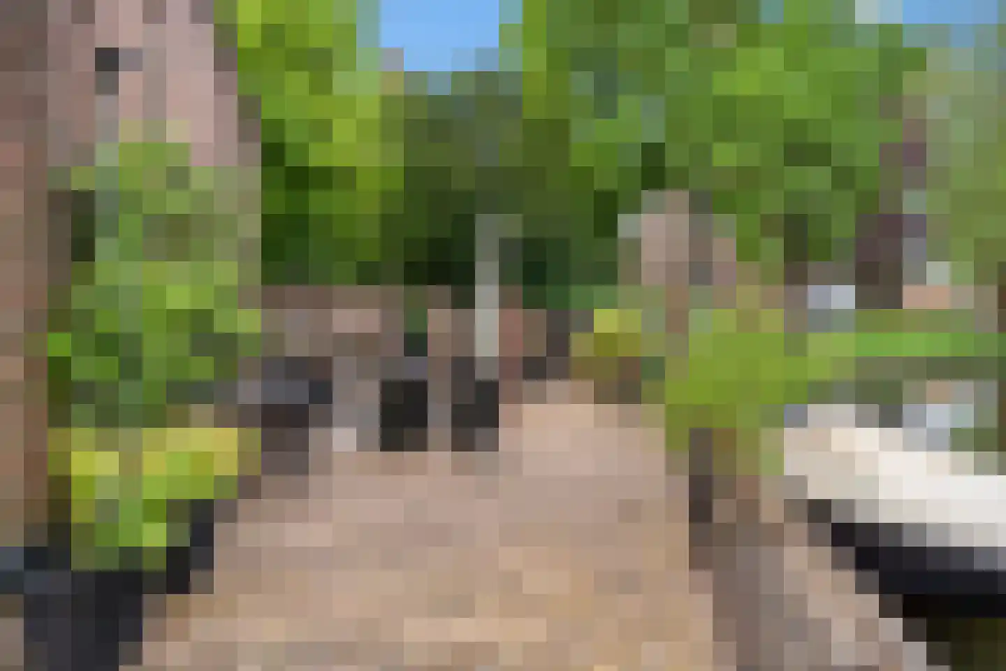 Kronenburgplantsoen 1 IJsselstein thumbnail 41