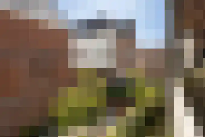 Kronenburgplantsoen 12 d IJsselstein thumbnail 38