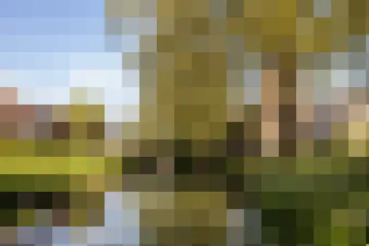 Kronenburgplantsoen 12 d IJsselstein thumbnail 39