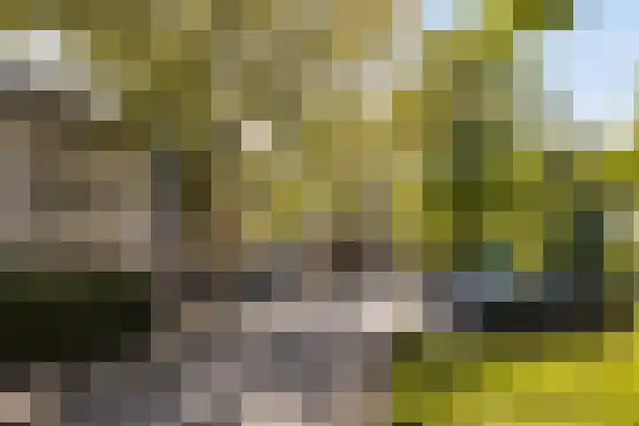 Kronenburgplantsoen 12 d IJsselstein thumbnail 40