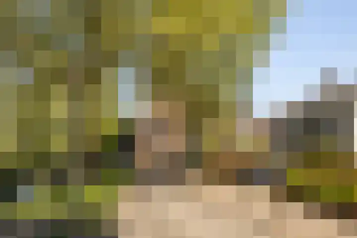 Kronenburgplantsoen 12 d IJsselstein thumbnail 41