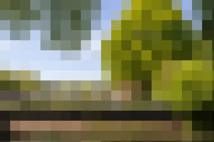 Kronenburgplantsoen 12 d IJsselstein thumbnail 42