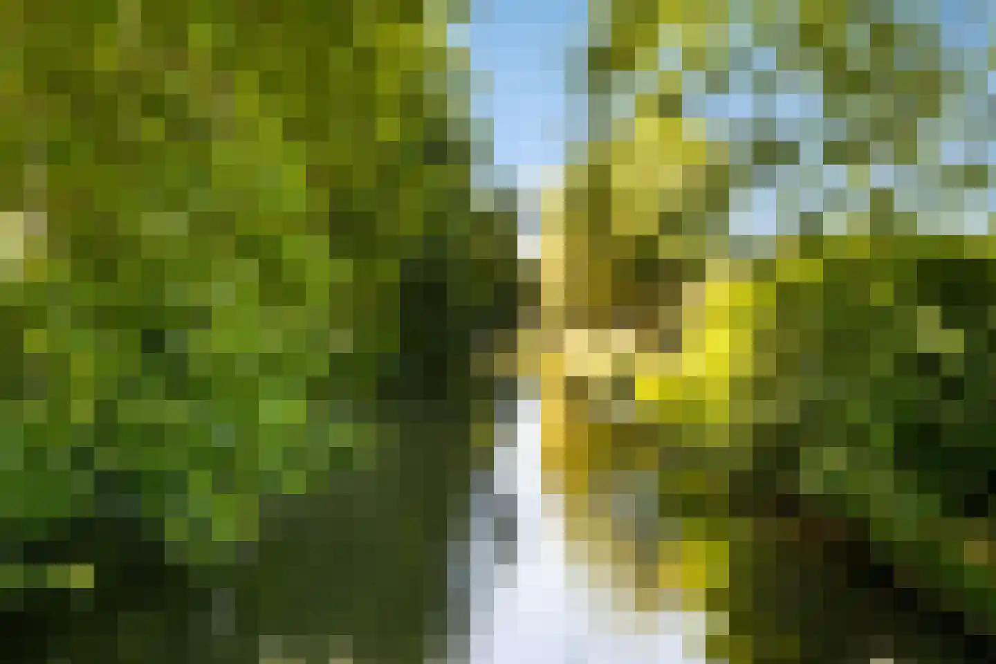 Kronenburgplantsoen 12 g IJsselstein thumbnail 47