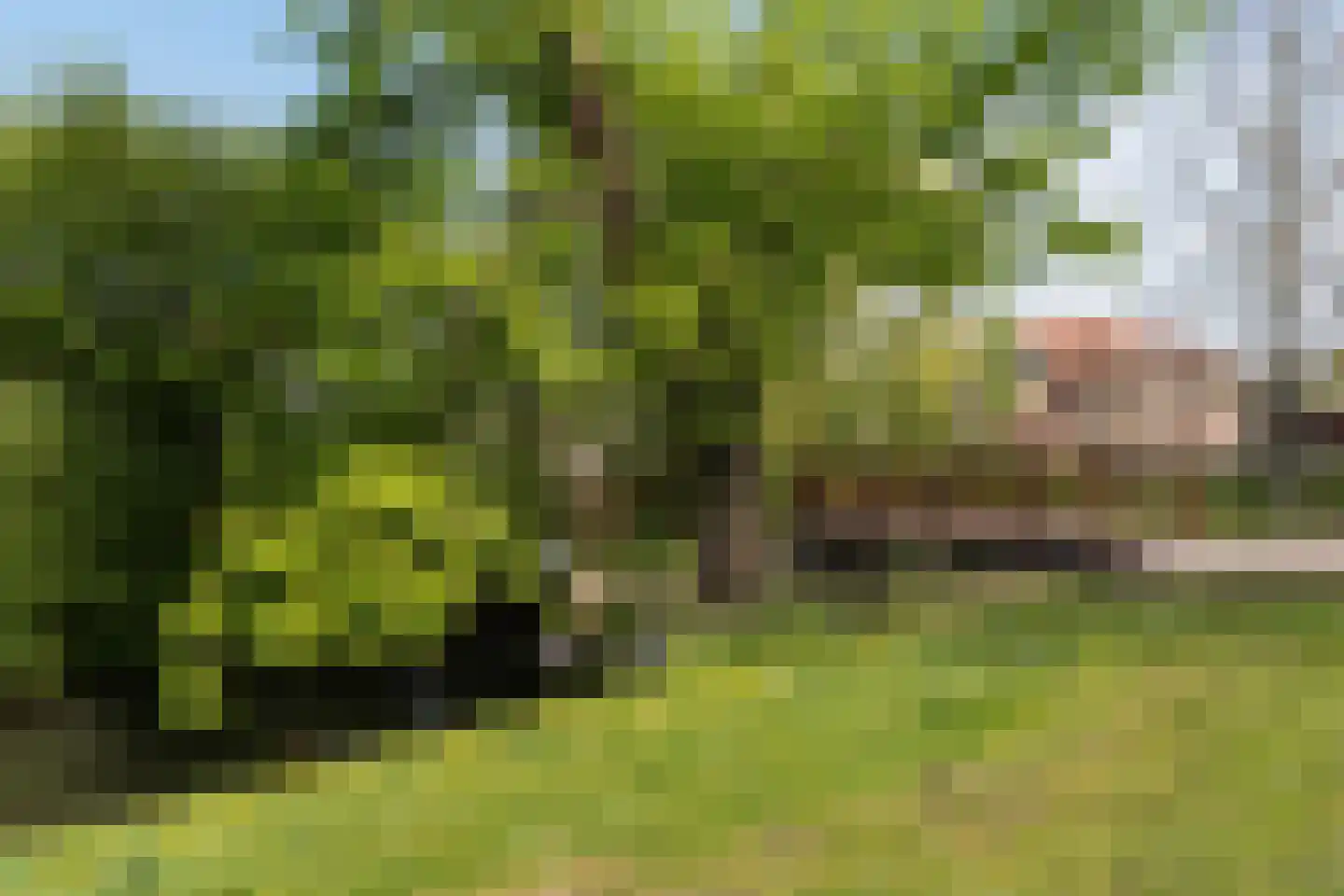Kronenburgplantsoen 12 g IJsselstein thumbnail 50