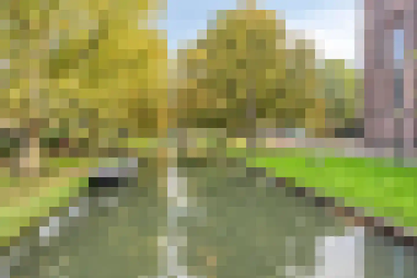 Kronenburgplantsoen 40 IJsselstein thumbnail 49