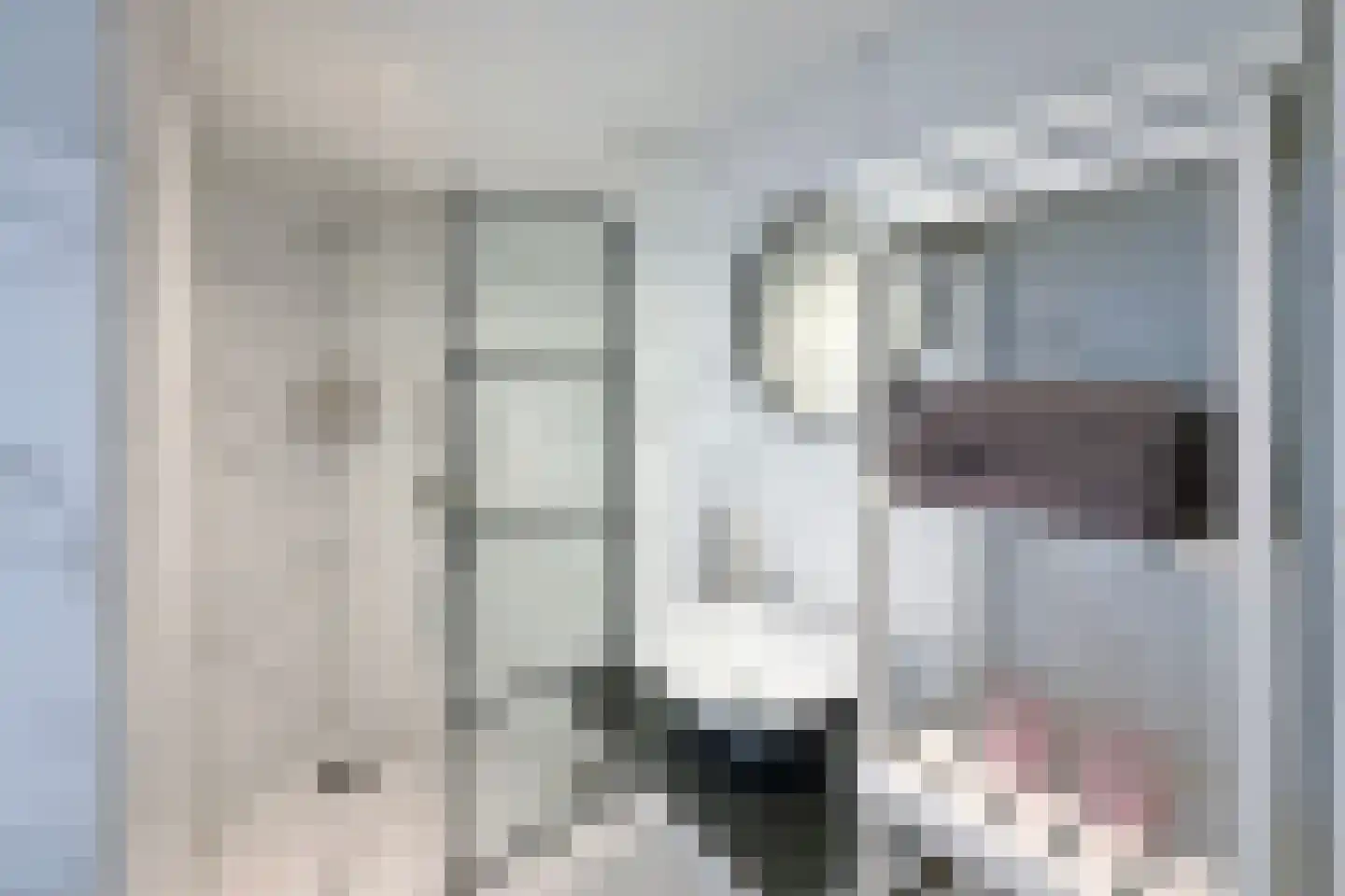 Kronenburgsingel 387 Arnhem thumbnail 4