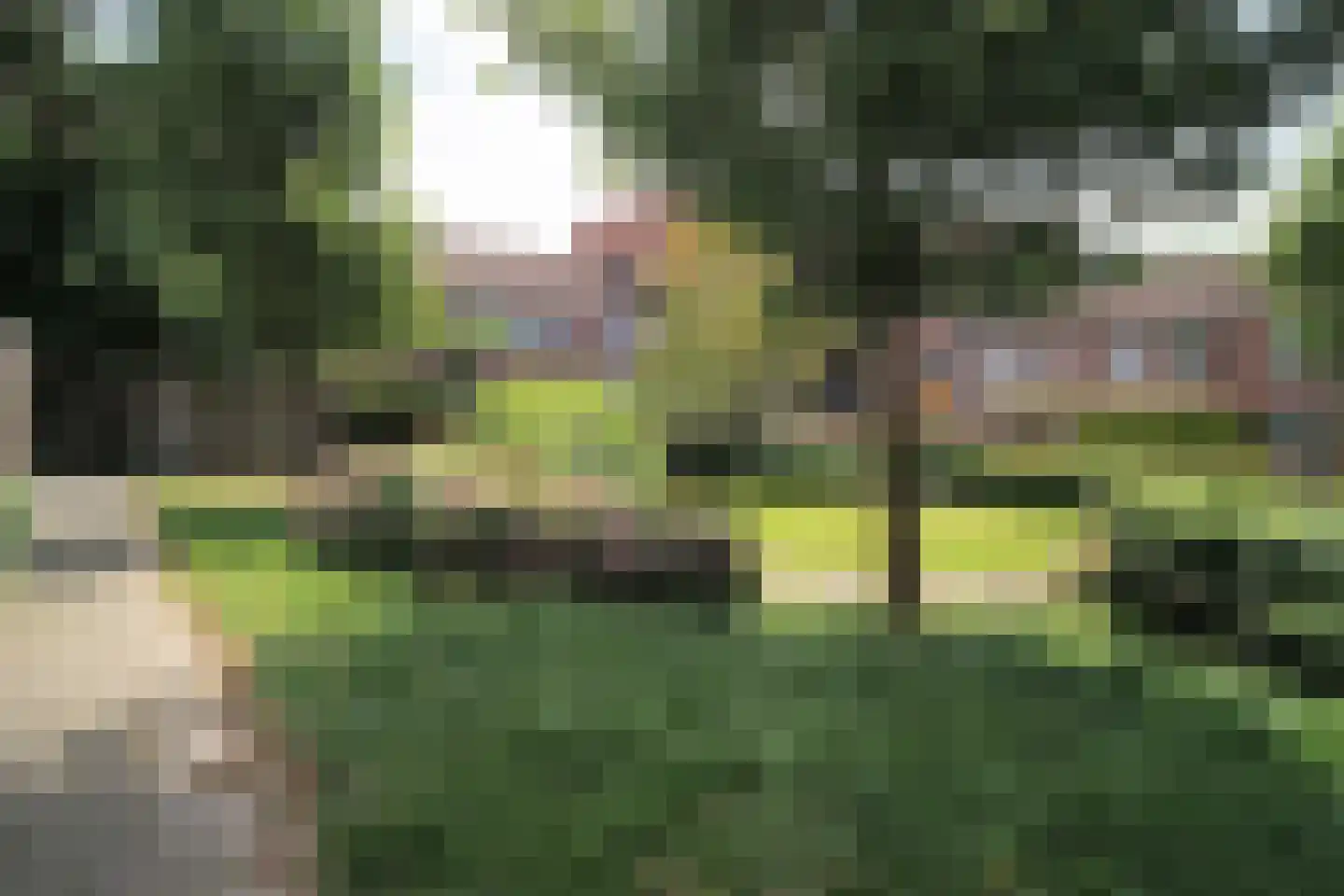 Kronenburgsingel 387 Arnhem thumbnail 44