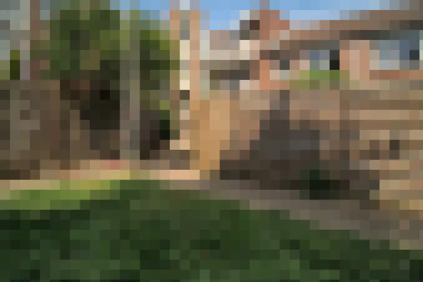 Kronenburgsingel 387 Arnhem thumbnail 47