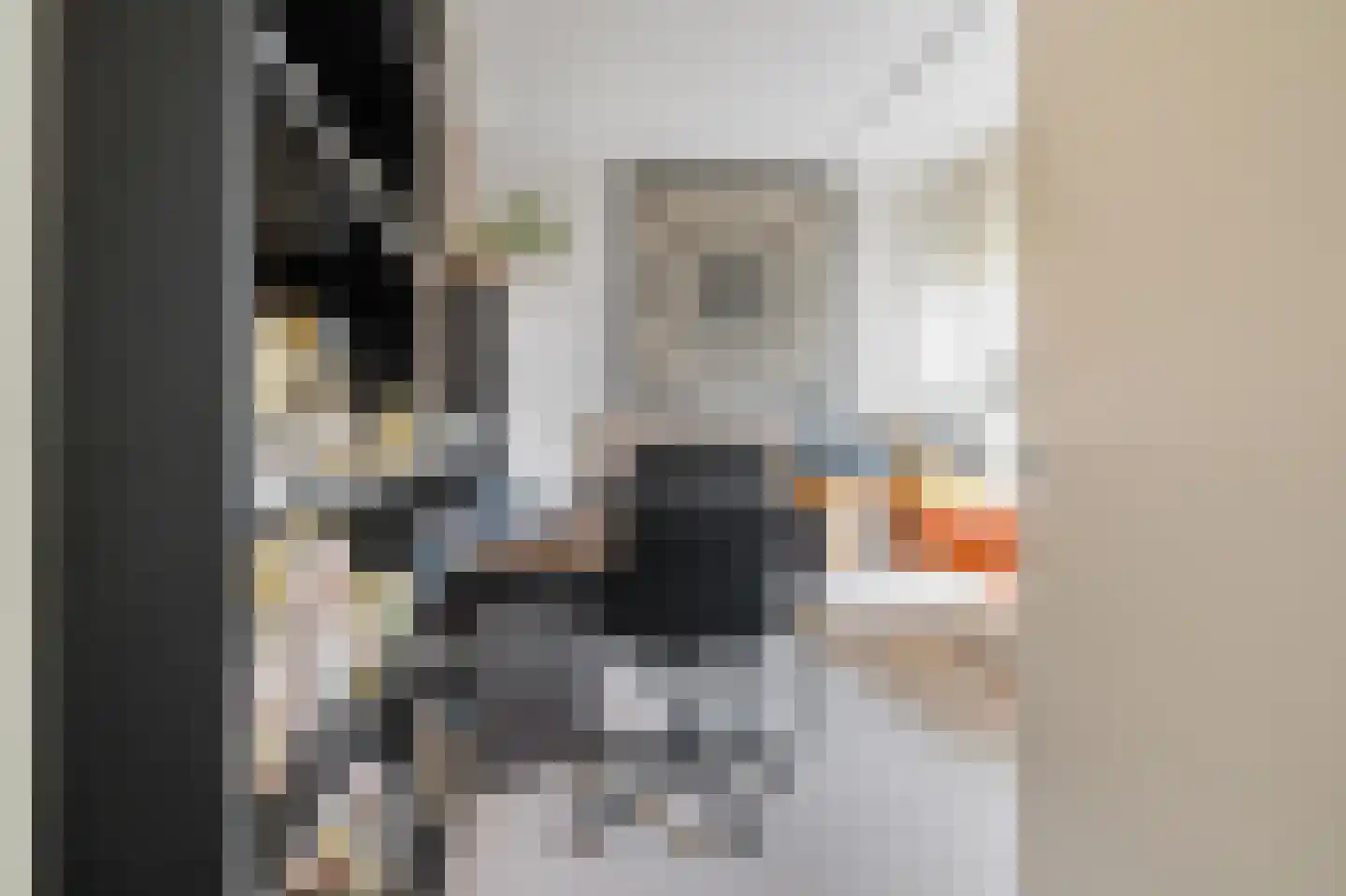 Kronenburgwerf 19 Breda thumbnail 17