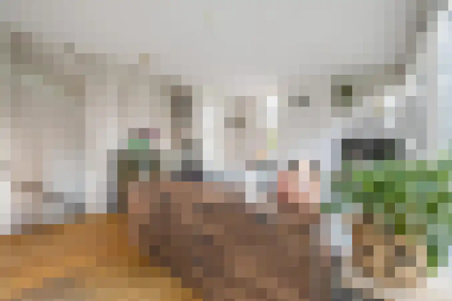 Kronenburgwerf 19 Breda thumbnail 26