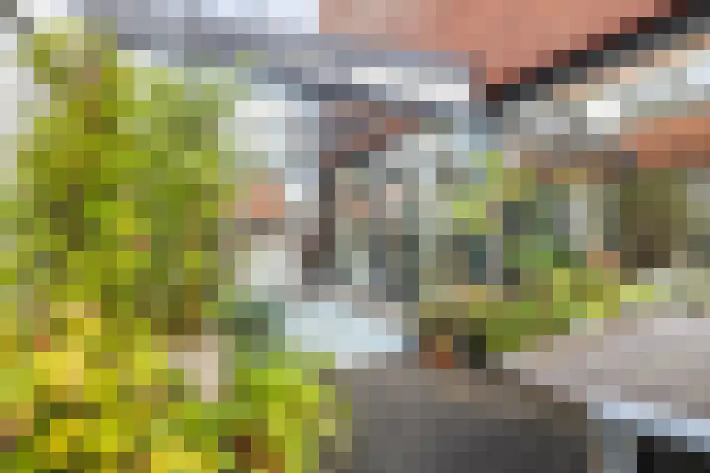 Kronenburgwerf 19 Breda thumbnail 52
