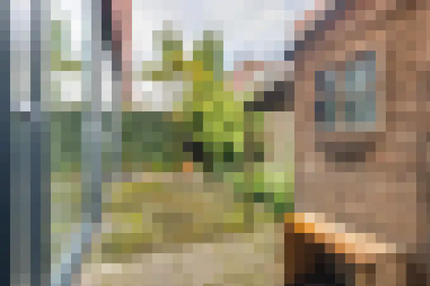 Kronenburgwerf 19 Breda thumbnail 54