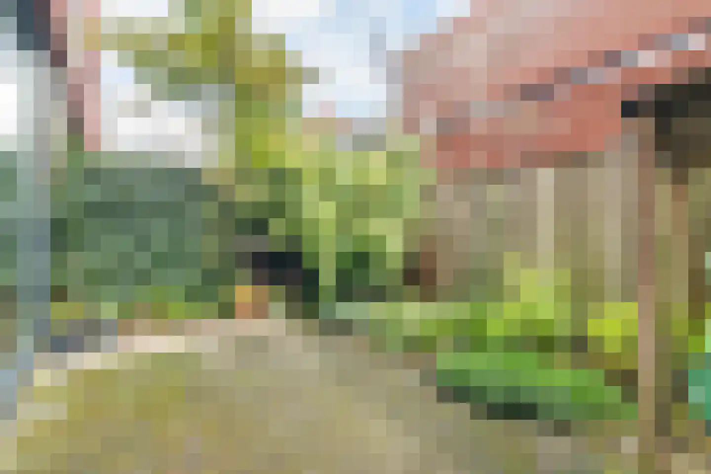 Kronenburgwerf 19 Breda thumbnail 55
