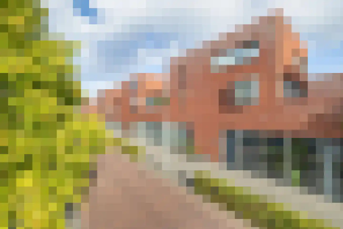 Kronenburgwerf 19 Breda thumbnail 7