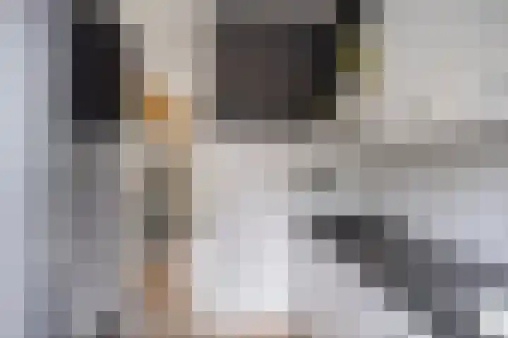 Kronenkamp 3 Neede thumbnail 16