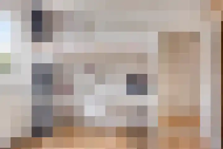 Kronenkamp 3 Neede thumbnail 23