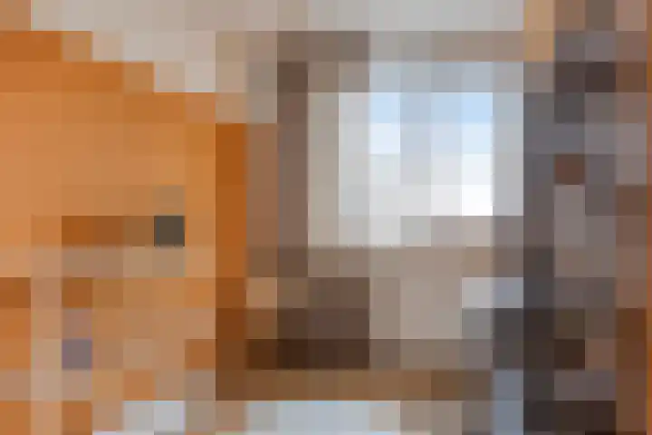 Kronenkamp 3 Neede thumbnail 24