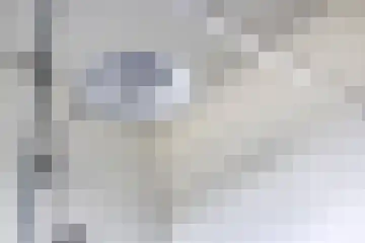 Kronenkamp 3 Neede thumbnail 27