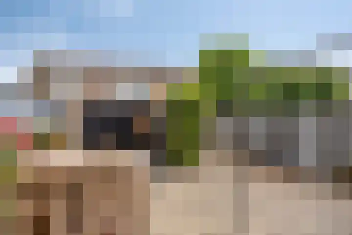 Kronenkamp 3 Neede thumbnail 30