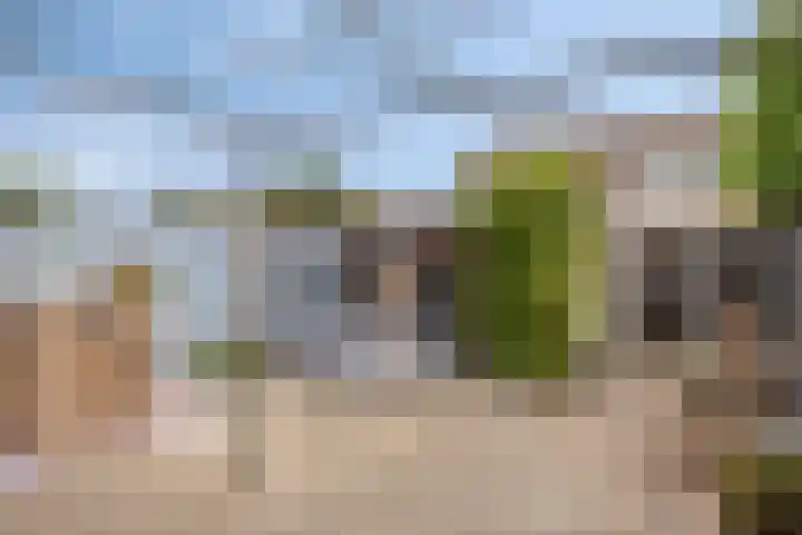 Kronenkamp 3 Neede thumbnail 33