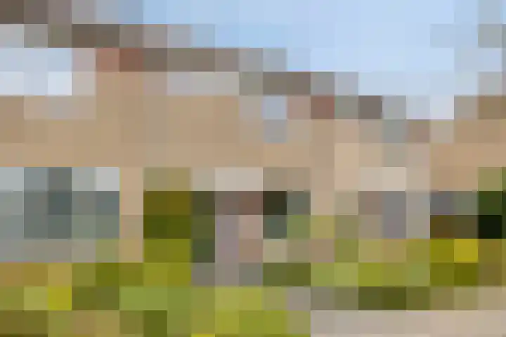 Kronenkamp 3 Neede thumbnail 36