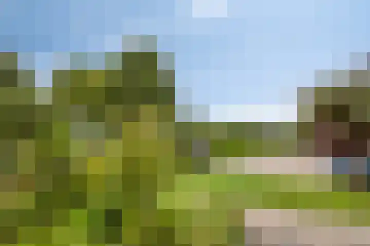 Kronenkamp 3 Neede thumbnail 39