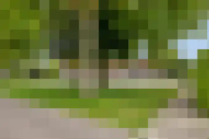 Kronenkamp 3 Neede thumbnail 40
