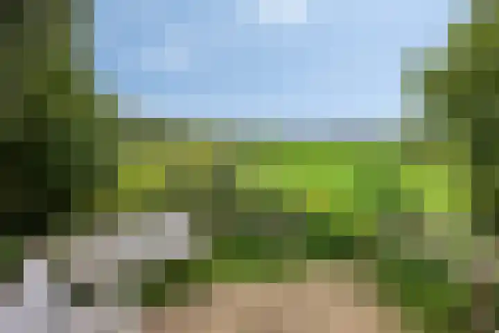 Kronenkamp 3 Neede thumbnail 41