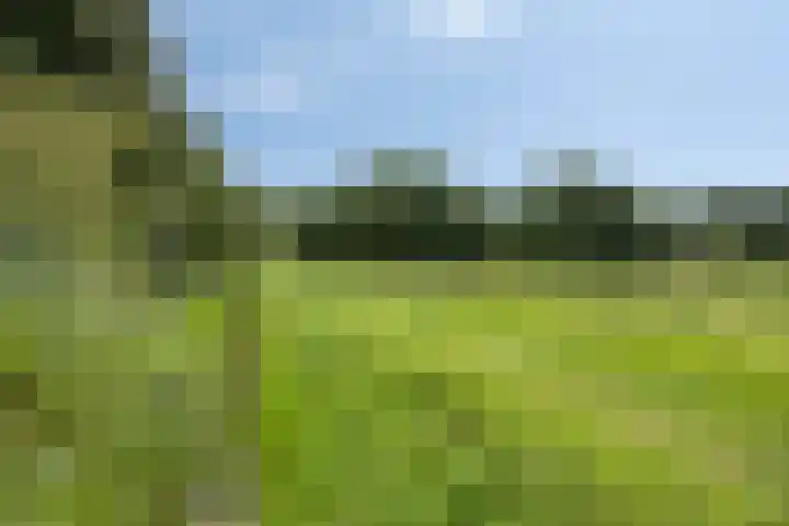 Kronenkamp 3 Neede thumbnail 42