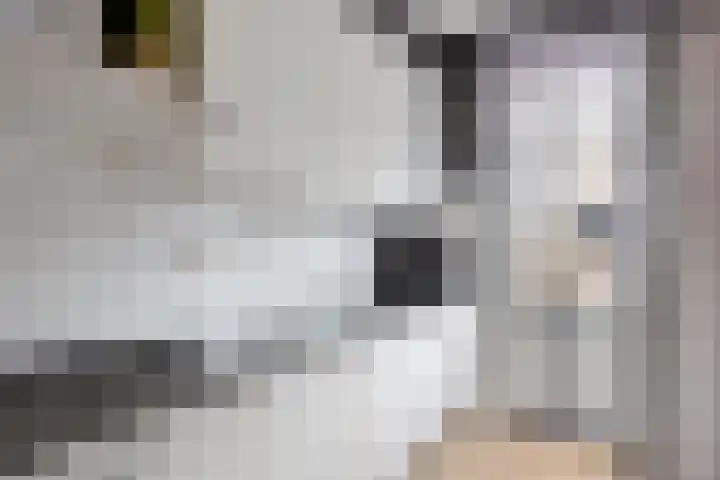Kronenkamp 3 Neede thumbnail 5