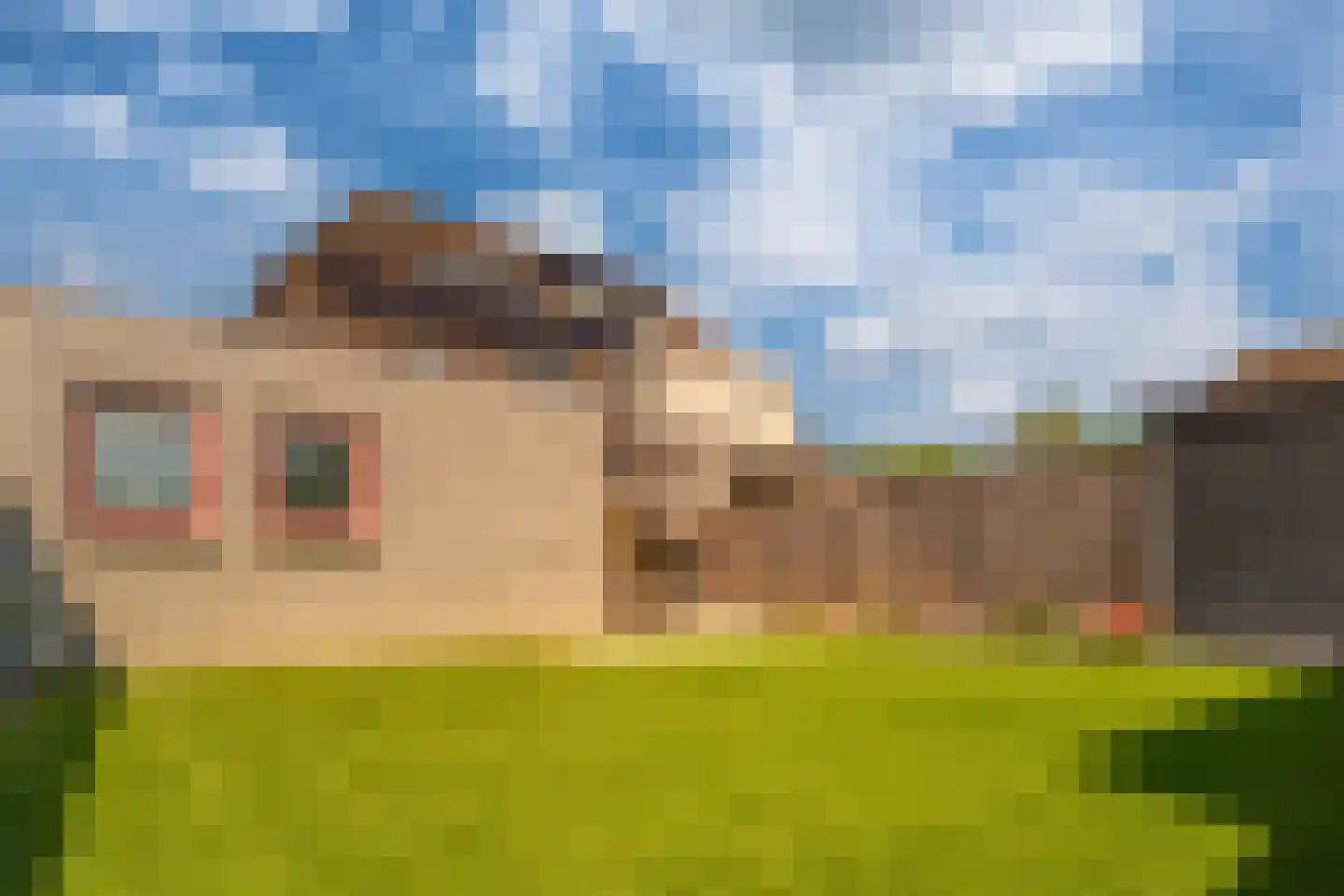Kronenland 1003 Wijchen thumbnail 33