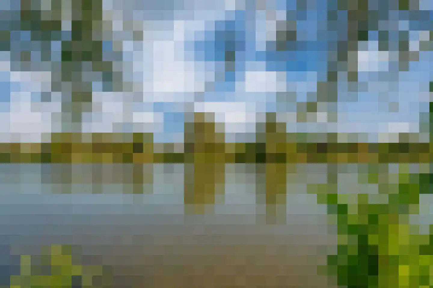 Kronenland 1003 Wijchen thumbnail 45