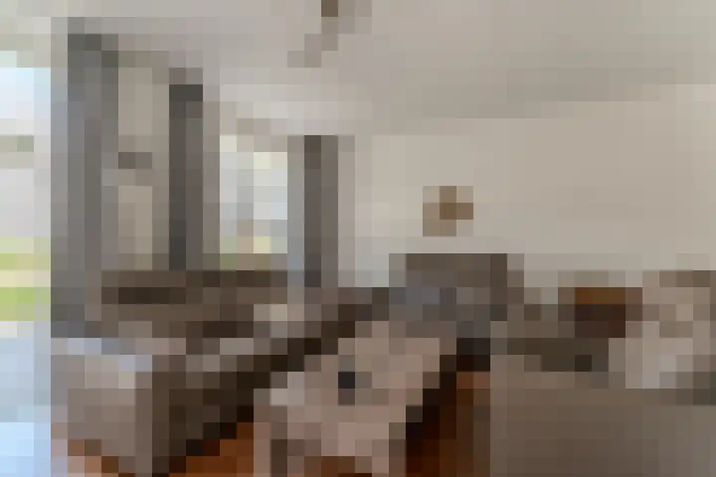 Kronenland 1003 Wijchen thumbnail 5