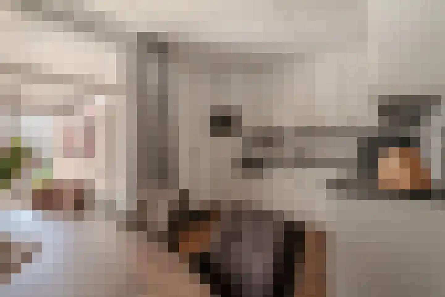 Kronenland 1003 Wijchen thumbnail 8