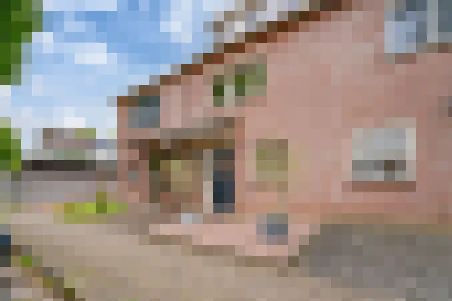 Kronenland 1231 Wijchen thumbnail 17